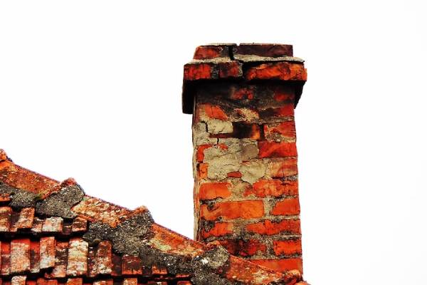 The 6 Most Common Places Where You Could Find Mold on Your Roof