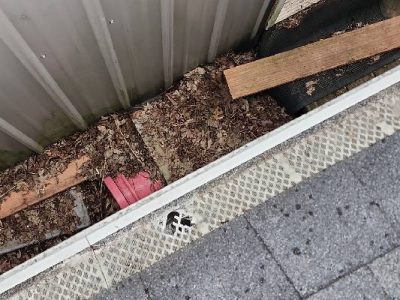 Gutter Repair Services